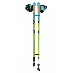 Алюминиевые телескопические палки AQD-B015