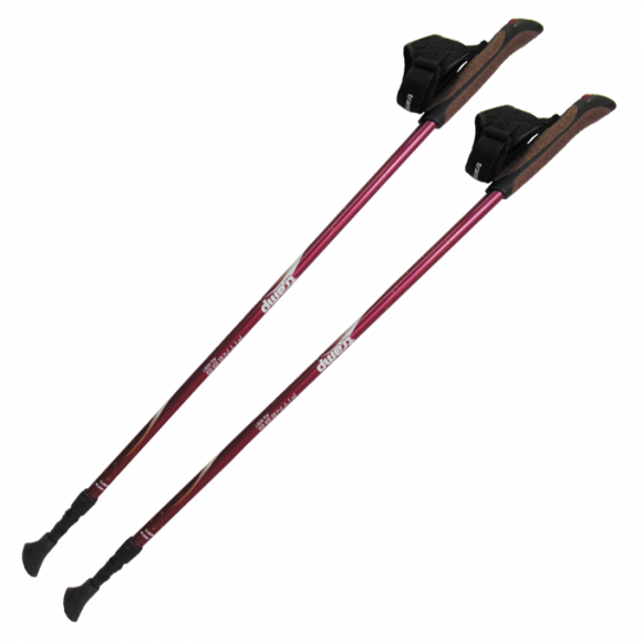 Палки для сканд.ходьбы Fitness TRR-011
